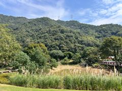 -黄公望隐居地