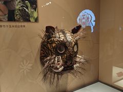 -辽宁省博物馆