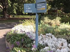 -墨尔本皇家植物园