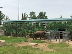 -西安秦岭野生动物园