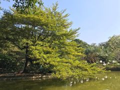 -广州雕塑公园