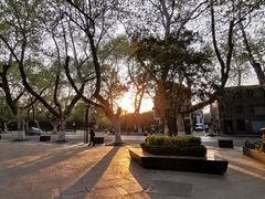 -也枫·小黄楼(南山路旗舰店)