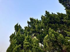 -白塘生态植物园