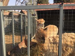 -意大利农场度假村