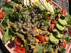 -百好乐宠物友好餐厅(朝外大街店)