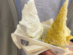 -野人先生现做冰淇淋(西安赛格店)
