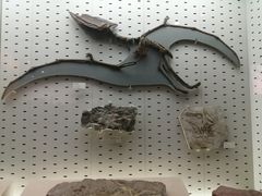 -浙江自然博物院(杭州馆)