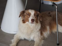 -时间抽屉(裕华万达广场店)