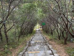-京东石林峡风景区