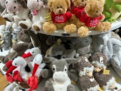 -维也纳国际机场