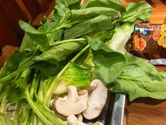 -成老灶火锅鸡(平山店)