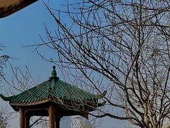 -滨湖塘西河公园