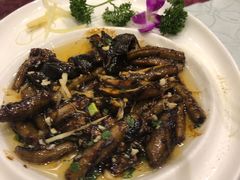 -新聚丰菜馆(太监弄店)