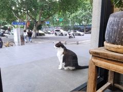 -囿面传统制面馆(中央路店)