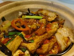 泡椒腩肉焖豆腐-利苑酒家(华熙国际店)
