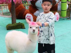 -灵玲国际马戏城