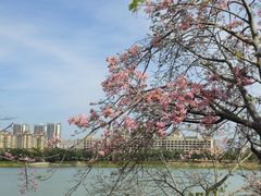 -风云岭森林公园