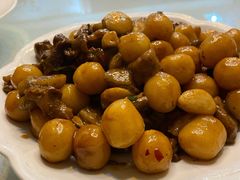 土豆炖牛腩-许昌花溪大酒店