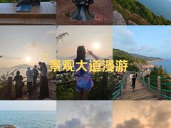 -广东惠东海龟国家级自然保护区