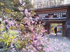 -卡定沟景区