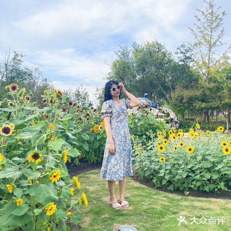 🌸上海奇迹花园🌸仙女出片地