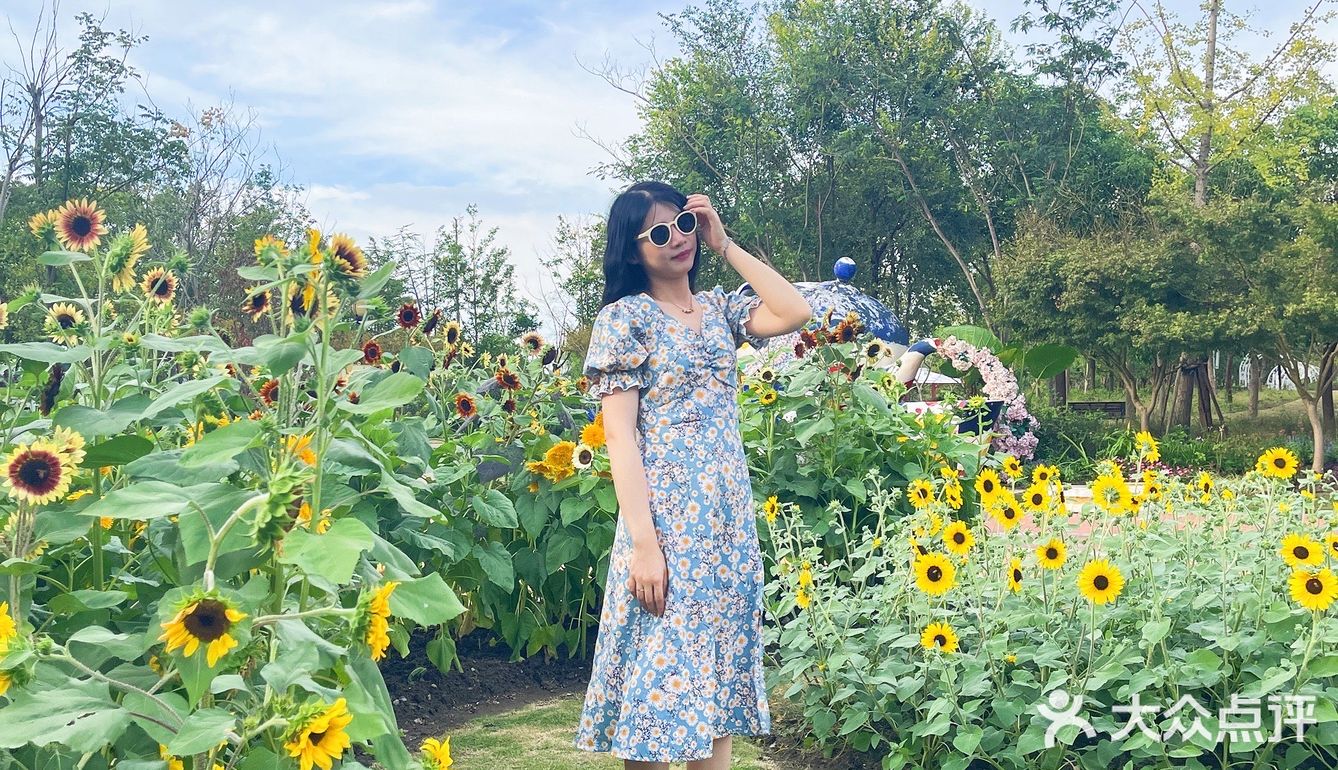 🌸上海奇迹花园🌸仙女出片地