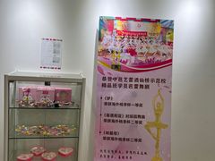 -中央芭蕾舞团·中芭艺蕾(酒仙桥明星校区)