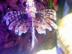 -沈阳海洋探索中心