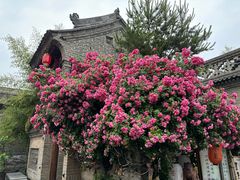 -韩城古城