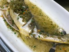 -骏莱海鲜鱼港(五角场店)