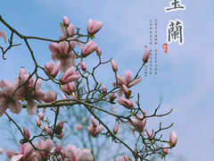 -城市阳台
