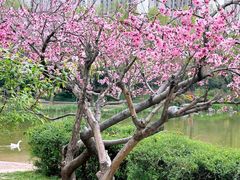 -木塔寺遗址生态公园