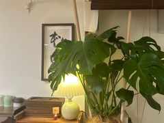 -本無咖啡·BeanWood Coffee
