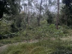 -青龙山国家森林公园