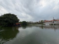-荔湾湖公园