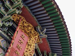 -铁山坪森林公园