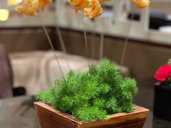 绿野仙踪薄荷虾-北京王府井希尔顿酒店·秦唐中餐厅Chynna