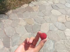 -湖南工业大学(主校区（河西校区）)