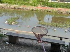 -同銮特种养殖场·龙虾垂钓