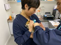 -喜多萌中农锦绣动物医院24H·猫科·牙科MRI·CT