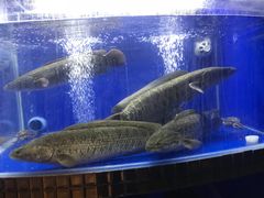 -小饕荟养生火锅(仁和·熙春郡店)