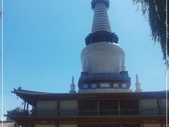 -张掖大佛寺景区