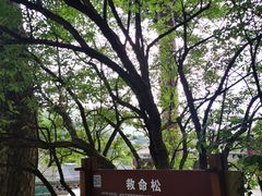 -妙峰山风景名胜区