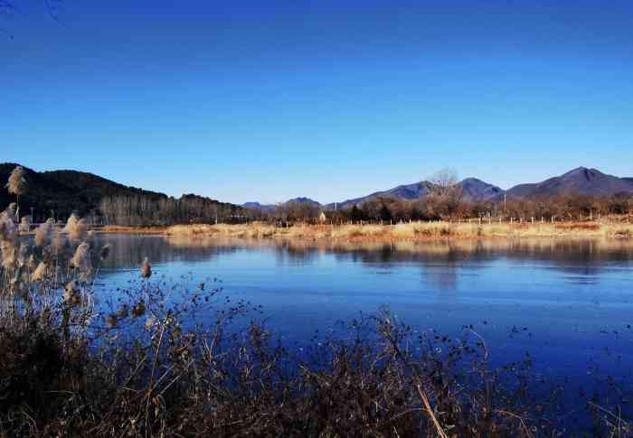 红螺湖鸟岛