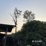 偷偷告诉你这个专吃鹅的地方|鹅院子🦢🦢