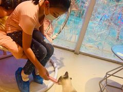 -藏猫猫咖啡主题馆(中央大道店)