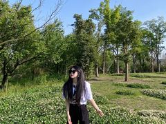 -白鹭湾湿地公园