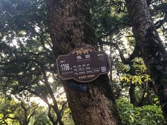 -张坝桂圆林公园