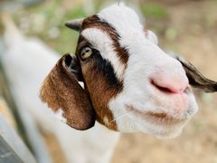 景观位-潭柘厚院(桑峪村店)