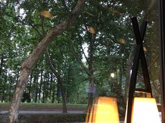 大堂-EN SPACE恩空间